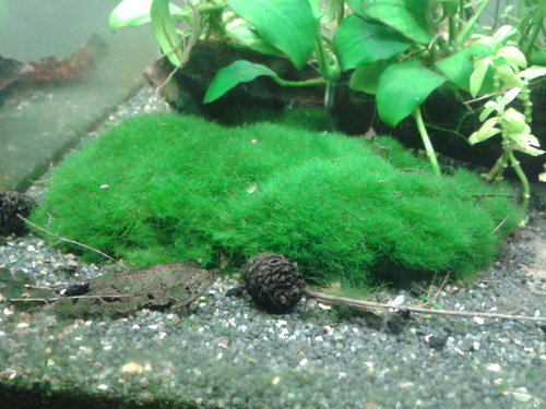 2015-02-16 17.48.43.jpg