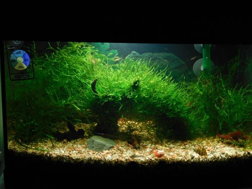 DSCN3227.JPG