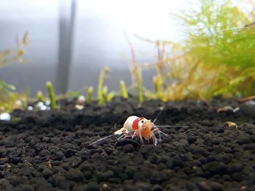 20180515_124948.jpg