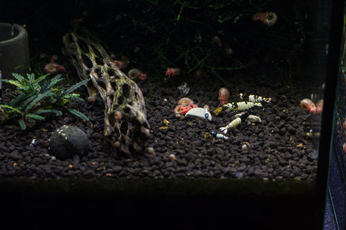 DSC_4025.jpg