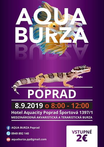 Aqua burza Poprad.jpg