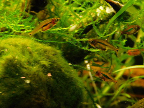 DSCN5066.JPG