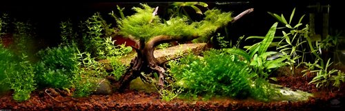 Vanička na krevety.jpg