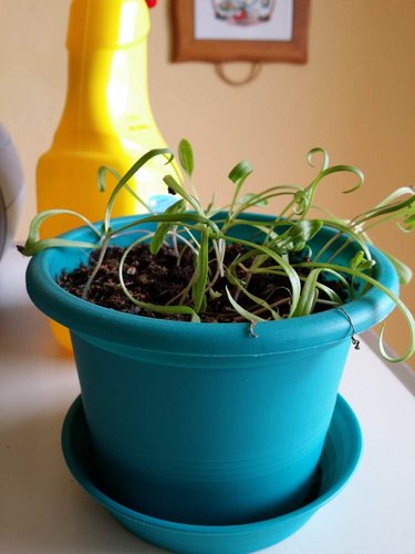 2015-03-29 15.03.51.jpg