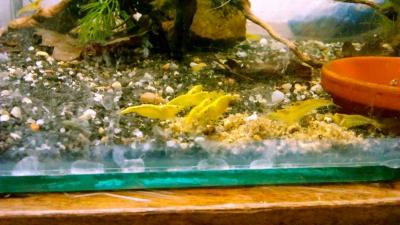 fotka_polovina (1).jpg