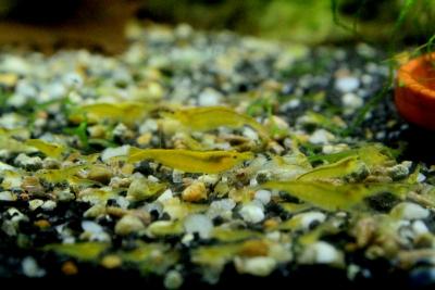 fotka_polovina (2).jpg