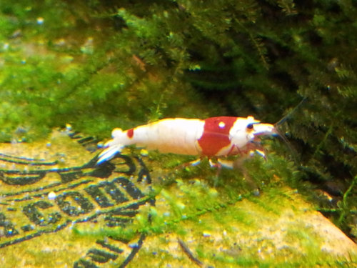 20130629_192922_u.jpg