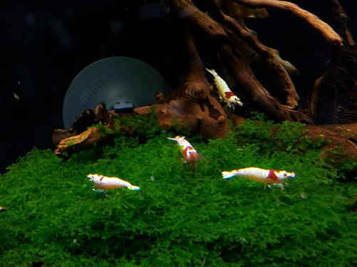 20130629_192740_u.jpg