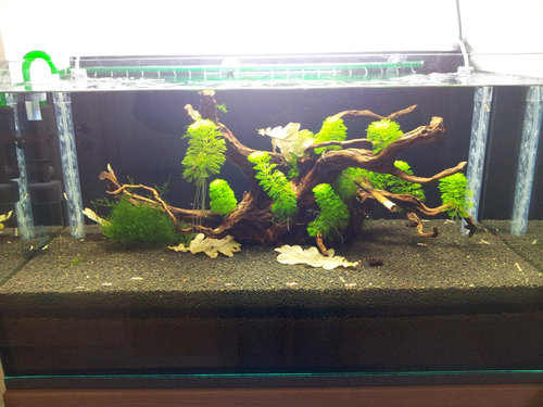 20121021_124259_u.jpg