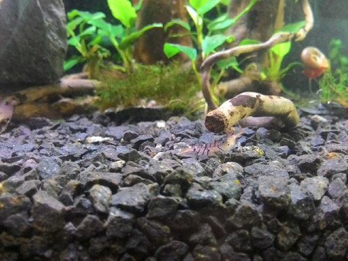 P_20150423_155726.jpg (150.96 KiB) 7607 zobrazení duplujem fotku (je uz v mojej teme) tak sa nehnevajte, len nech to je radsej nakope