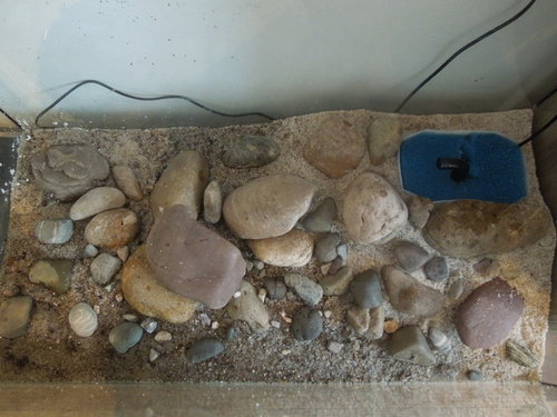 DSCN2876.JPG