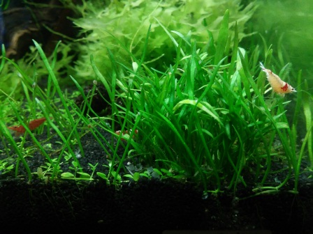 20150601_201223.jpg