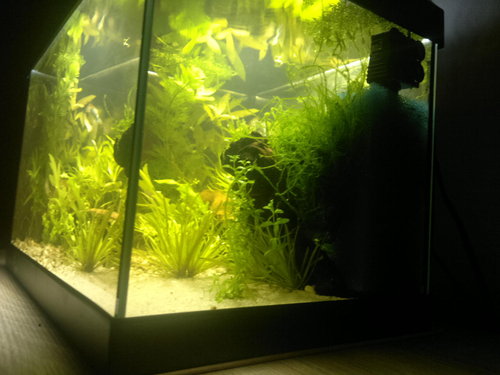 2012-08-28-067.jpg
