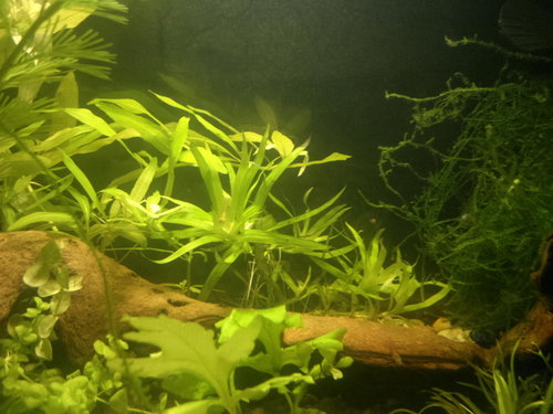 2012-08-28-072.jpg