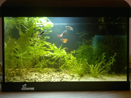 2012-08-31-079.jpg