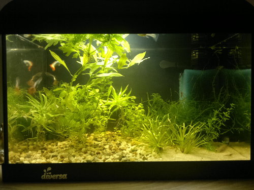 2012-09-04-081.jpg