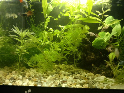 2012-09-16-087.jpg