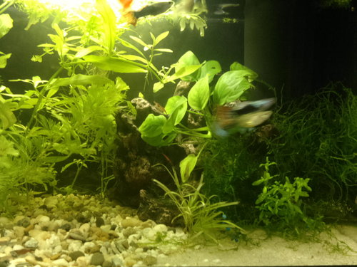 2012-09-16-086.jpg