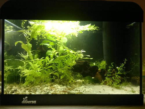 2012-09-21-089.jpg