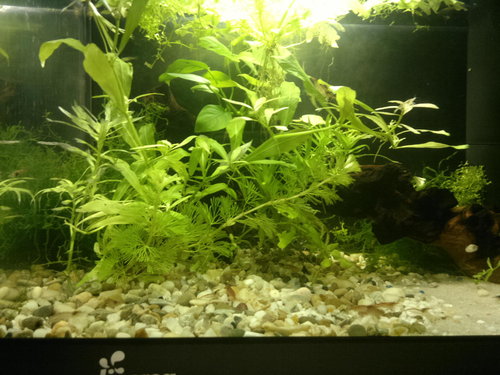 2012-09-21-090.jpg