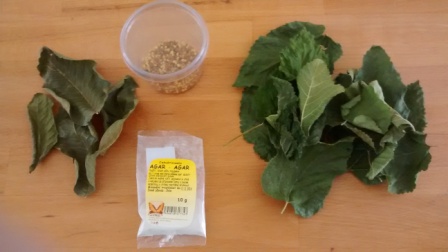 susene morusové a orechové listy, pel a agar(pouzil som 3g)