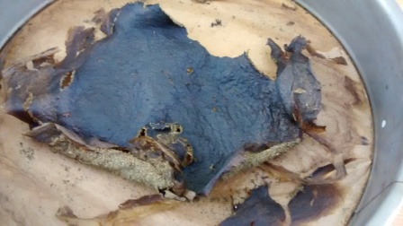 Hotovo. Jedna strana....