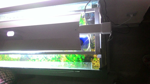 P_20150810_204423.jpg