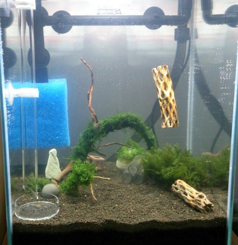 Este len prvotna verzia a kadeco pribudne